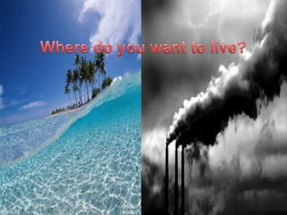 Where do you want to live? 