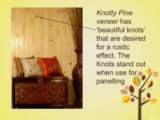 Knotty Pine
veneer has
‘beautiful knots’
that are desired
for a rustic
effect. The
Knots stand out
when use for
panelling
 