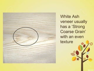 White Ash
veneer usually
has a ‘Strong
Coarse Grain’
with an even
texture
 