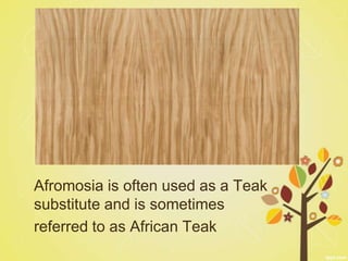 Afromosia is often used as a Teak
substitute and is sometimes
referred to as African Teak
 