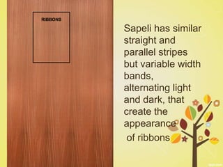 RIBBONS

          Sapeli has similar
          straight and
          parallel stripes
          but variable width
          bands,
          alternating light
          and dark, that
          create the
          appearance
           of ribbons
 