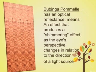 Bubinga Pommelle
has an optical
reflectance, means
An effect that
produces a
"shimmering" effect,
as the eye's
perspective
changes in relation
to the direction
of a light source
 