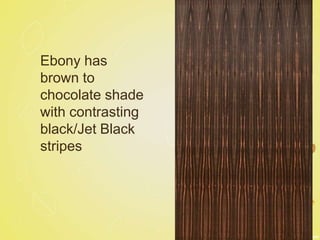 Ebony has
brown to
chocolate shade
with contrasting
black/Jet Black
stripes
 