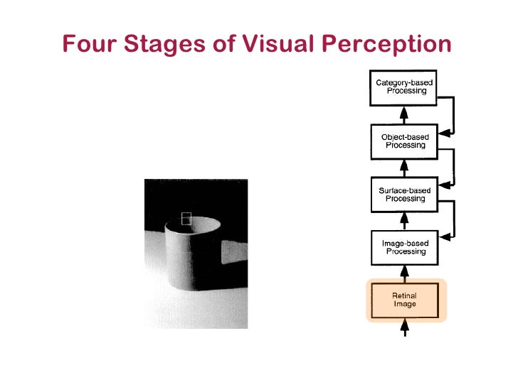 perception process 3 stages perception process 3 stages