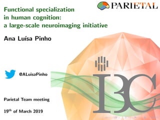 Functional specialization
in human cognition:
a large-scale neuroimaging initiative
Ana Lu´ısa Pinho
@ALuisaPinho
Parietal Team meeting
19th
of March 2019
 