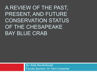 A REVIEW OF THE PAST,
PRESENT, AND FUTURE
CONSERVATION STATUS
OF THE CHESAPEAKE
BAY BLUE CRAB




      By: Kate Stoutenburgh
      Faculty Sponsor: Dr. Kent Carpenter
 