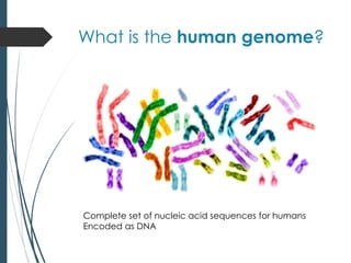 What is the human genome?
Complete set of nucleic acid sequences for humans
Encoded as DNA
 