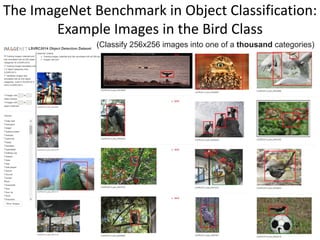 The ImageNet Benchmark in Object Classification:
Example Images in the Bird Class
67
(Classify 256x256 images into one of a thousand categories)
 