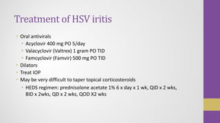 Uvetis, anterior uveitis, posterior uveitis