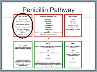 Penicillin Pathway
 