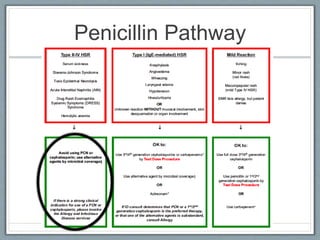 Penicillin Pathway
 