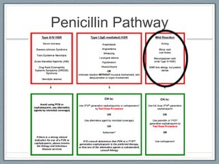 Penicillin Pathway
 
