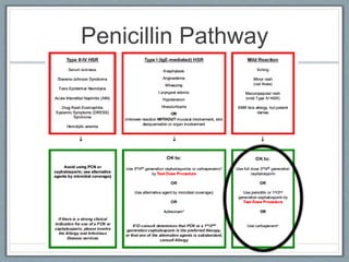 Penicillin Pathway
 
