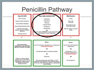 Penicillin Pathway
 