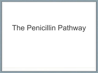 The Penicillin Pathway
 