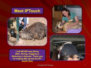 1 Meet IPTouch I will NEVER stop Being With, Saving, Hugging or Believing in Animals. Thank you for helping ME spread the IPT word!! Amy Innovative Pet Therapy 