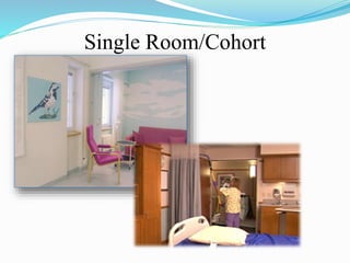 Single Room/Cohort 
 