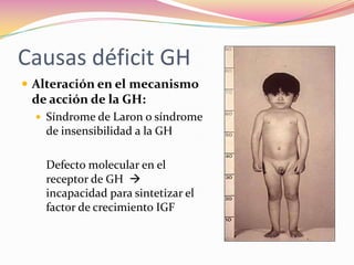 Causas déficit GH
 Alteración en el mecanismo
 de acción de la GH:
   Síndrome de Laron o síndrome
   de insensibilidad a la GH

   Defecto molecular en el
   receptor de GH 
   incapacidad para sintetizar el
   factor de crecimiento IGF
 