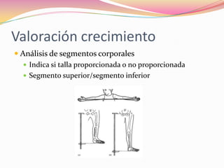 Valoración crecimiento
 Análisis de segmentos corporales
    Indica si talla proporcionada o no proporcionada
    Segmento superior/segmento inferior
 