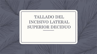 TALLADO DEL
INCISIVO LATERAL
SUPERIOR DECIDUO
 