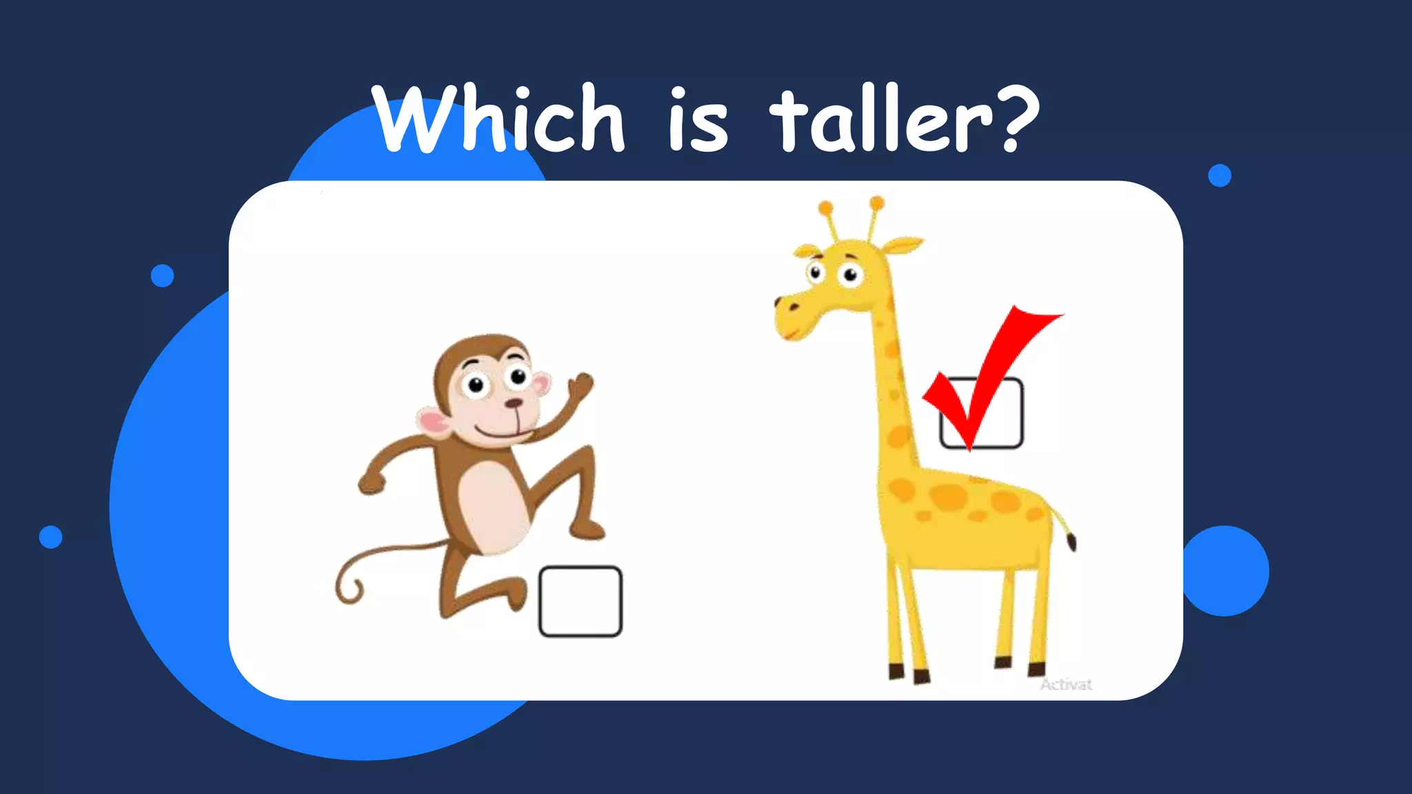 Which is taller?
 