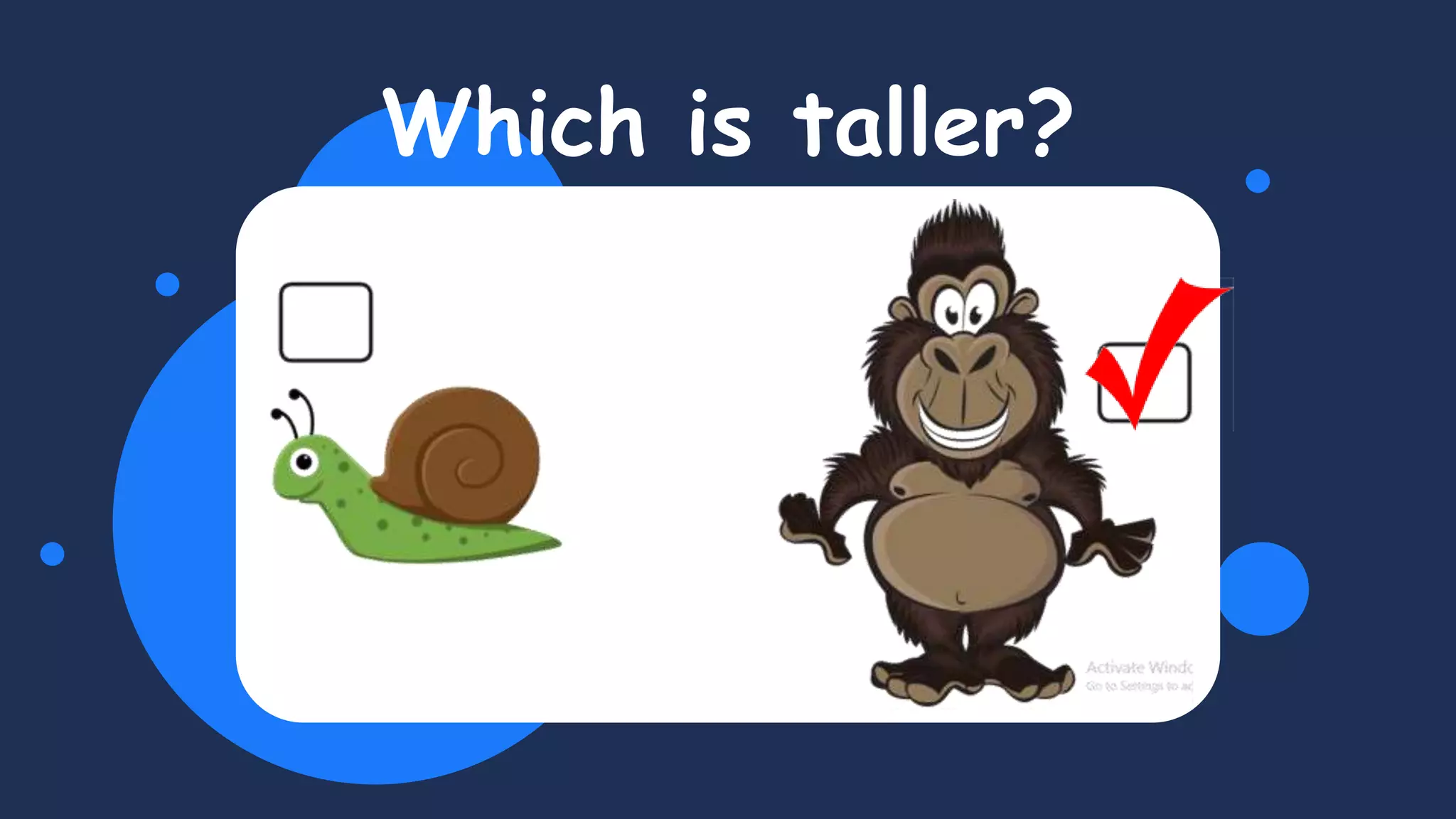 Which is taller?
 