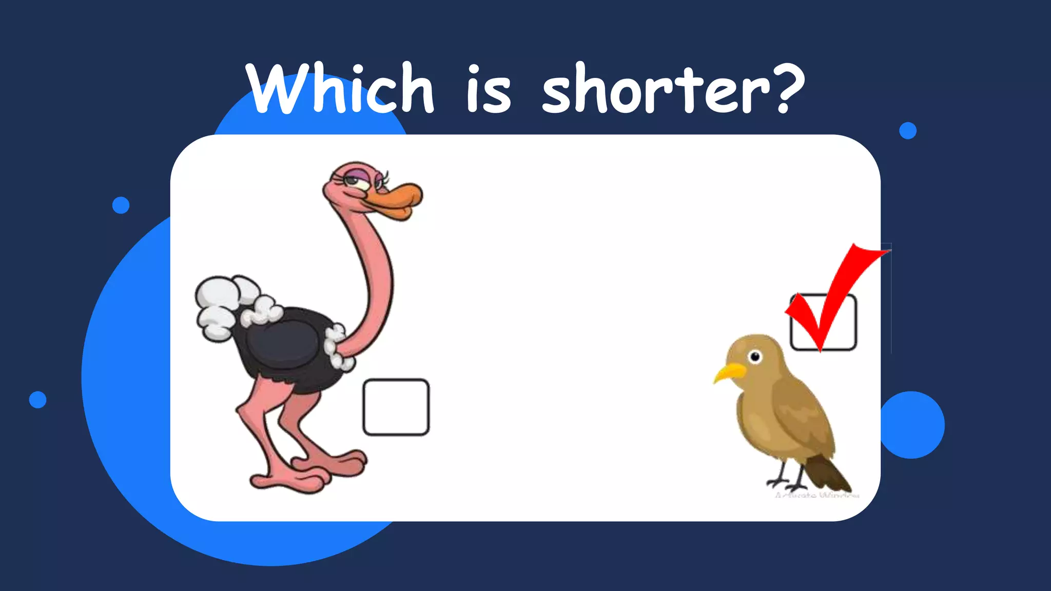 Which is shorter?
 