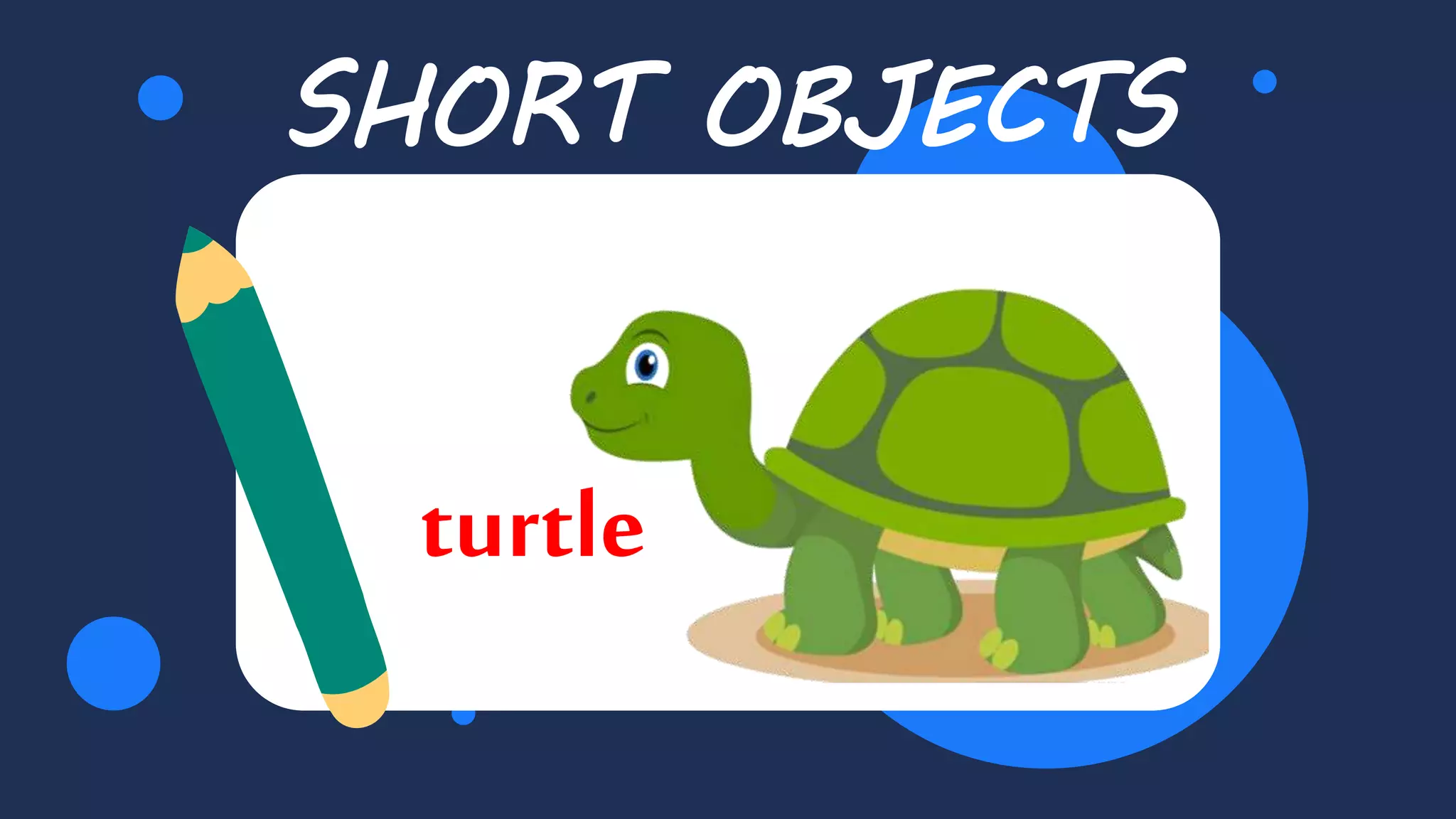 SHORT OBJECTS
turtle
 