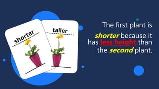 The first plant is
shorter because it
has less height than
the second plant.
 