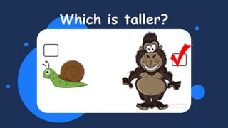Which is taller?
 