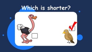 Which is shorter?
 