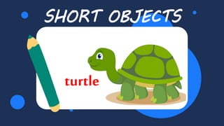 SHORT OBJECTS
turtle
 