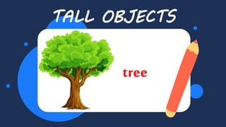 TALL OBJECTS
tree
 