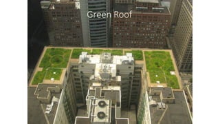 Green Roof
 
