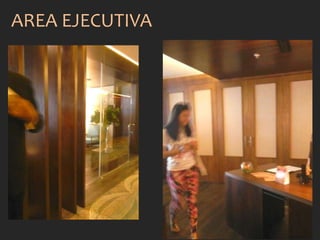 AREA EJECUTIVA
 