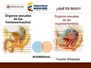 ¿QUÉ ES SEXO?
Órganos sexuales
de los
hombres/machos
Fuente Wikipedia
Órganos sexuales
de las
mujeres/hembras
INTERSEXUAL
 