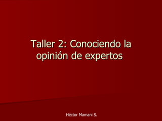 Taller 2: Conociendo la opinión de expertos  Héctor Mamani S. 