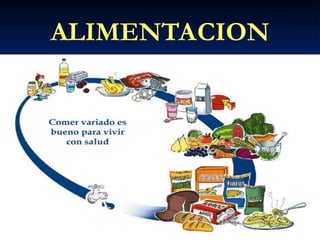 ALIMENTACION
 