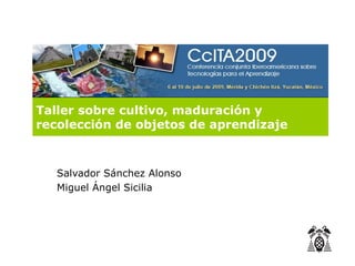 Taller sobre cultivo, maduración y
recolección de objetos de aprendizaje



   Salvador Sánchez Alonso
   Miguel Ángel Sicilia
 