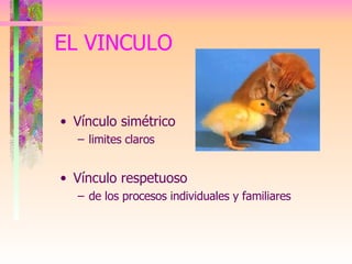 EL VINCULO Vínculo simétrico  limites claros Vínculo respetuoso de los procesos individuales y familiares 