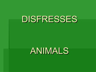 DISFRESSES ANIMALS 