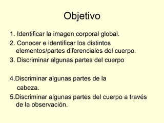 Objetivo 1. Identificar la imagen corporal global. 2. Conocer e identificar los distintos elementos/partes diferenciales del cuerpo. 3. Discriminar algunas partes del cuerpo   4.Discriminar algunas partes de la cabeza. 5.Discriminar algunas partes del cuerpo a través de la observación. 