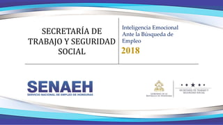 SECRETARÍA DE
TRABAJO Y SEGURIDAD
SOCIAL 2018
Inteligencia Emocional
Ante la Búsqueda de
Empleo
 