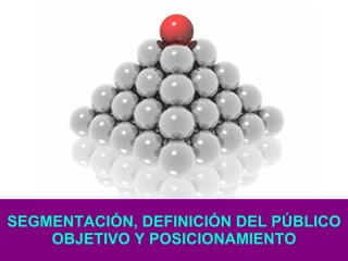 SEGMENTACIÓN, DEFINICIÓN DEL PÚBLICO OBJETIVO Y POSICIONAMIENTO 