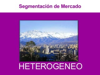 Segmentación de Mercado HETEROGENEO 