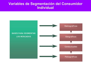 Variables de Segmentación del Consumidor Individual 