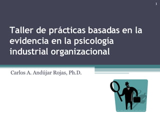 Taller de prácticas basadas en la evidencia en la psicología industrial organizacional Carlos A. Andújar Rojas, Ph.D. 