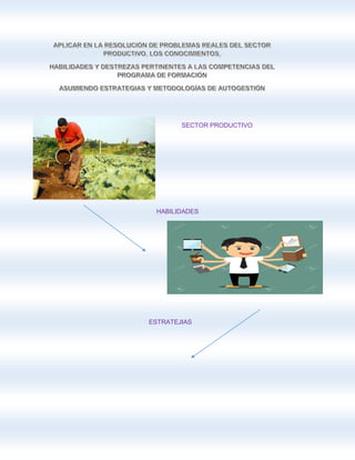 SECTOR PRODUCTIVO
HABILIDADES
ESTRATEJIAS
 