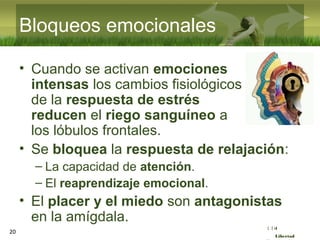 :( :| :)
Libertad
Bloqueos emocionales
• Cuando se activan emociones
intensas los cambios fisiológicos
de la respuesta de estrés
reducen el riego sanguíneo a
los lóbulos frontales.
• Se bloquea la respuesta de relajación:
– La capacidad de atención.
– El reaprendizaje emocional.
• El placer y el miedo son antagonistas
en la amígdala.
20
 