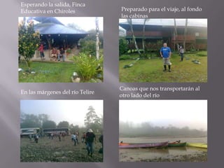 Esperando la salida, Finca
Educativa en Chiroles            Preparado para el viaje, al fondo
                                 las cabinas




                                 Canoas que nos transportarán al
En las márgenes del río Telire
                                 otro lado del río
 